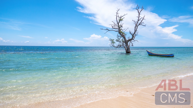 Lorem ipsum dolor sit amet consectetur - 9